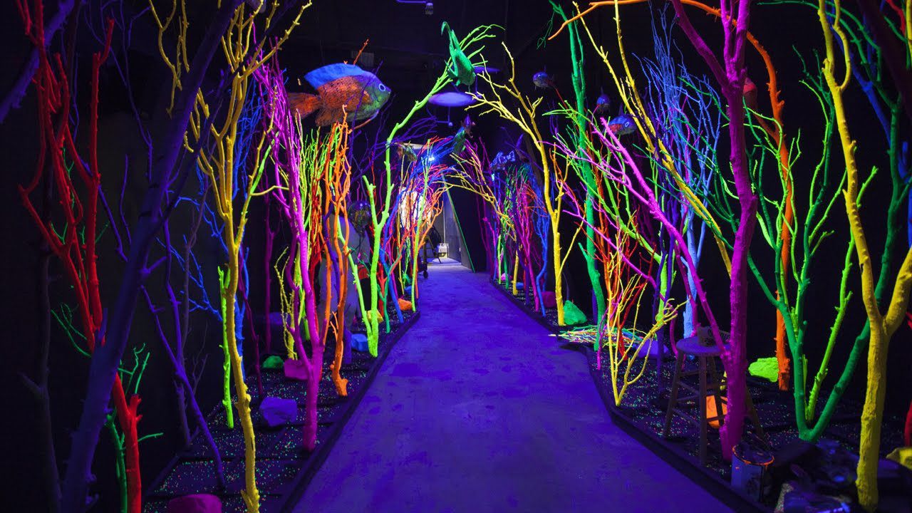 Top 5 Mid-US Vacation Spots